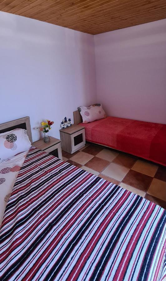 Hotel Casa Roko Sfântu Gheorghe Esterno foto